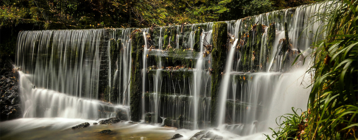 Stock Ghill Force